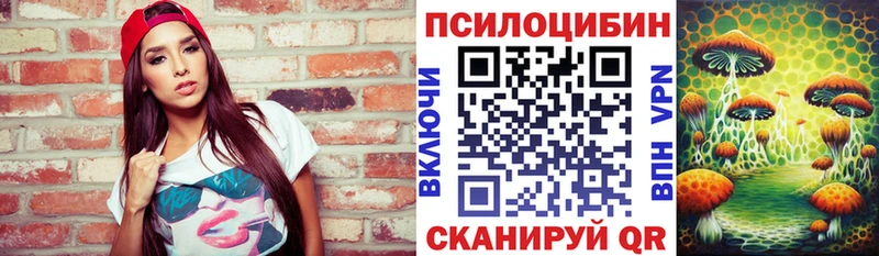 Купить  Кяхта  Псилоцибиновые грибы мицелий 
